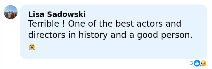 Comment by Lisa Sadowski expressing grief over Rob Reiner's daughter&rsquo;s heartbreaking post before tragic family loss in LA.