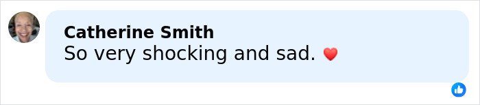 Facebook comment from Catherine Smith saying So very shocking and sad with a red heart emoji related to Rob Reiner's daughter post.