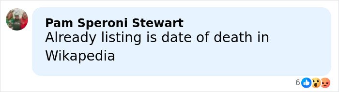 Pam Speroni Stewart commenting about date of death listing on Wikipedia in a social media post discussing Rob Reiner's daughter tragedy