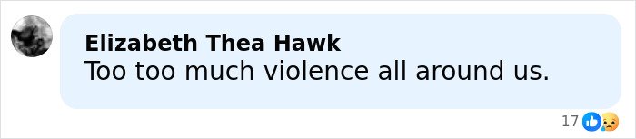 Comment by Elizabeth Thea Hawk expressing concern about violence, related to Rob Reiner's daughter and LA home tragedy.