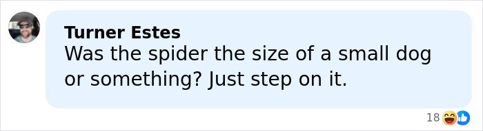 Text message conversation featuring a funny comment about stepping on a large spider, illustrating bizarre excuses.