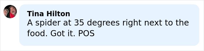 Comment from Tina Hilton discussing a spider near food in a light blue chat bubble on a social app.