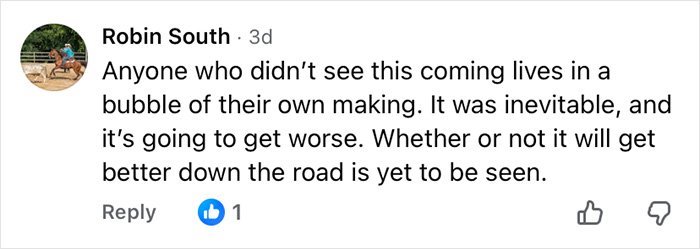 Comment from Robin South discussing worsening situation and uncertain future related to ChatGPT accused of turning son against mother.