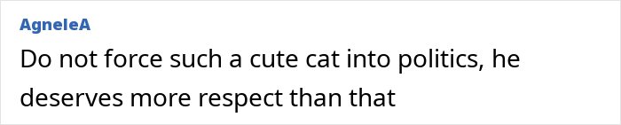 Comment stating that a cute cat should not be forced into politics and deserves more respect.