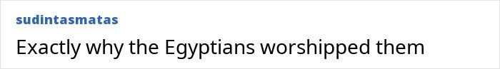 Comment on a forum post discussing the unusual law about Lithuania requiring a lawmaker’s cat’s consent to fire a broadcaster head.