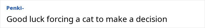Comment text on a white background discussing the difficulty of forcing a cat to make a decision related to Lithuania lawmaker's cat consent.