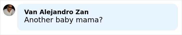 Screenshot of a social media comment saying Another baby mama, related to Elon Musk’s comment about Sydney Sweeney’s chest.