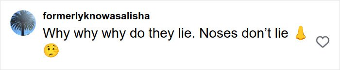 Screenshot of a social media comment saying noses don't lie in response to Britanny Snow plastic surgery rumors.