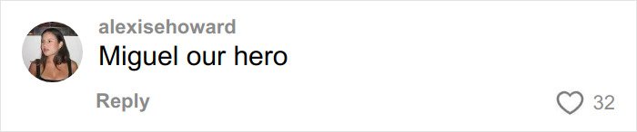 Comment on social media from user alexisehoward praising someone as a hero, featuring profile picture of a woman.