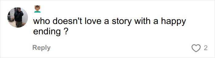 Comment on social media by user with avatar, mentioning a story with a happy ending, related to Karen drunken rampage tech executive news.