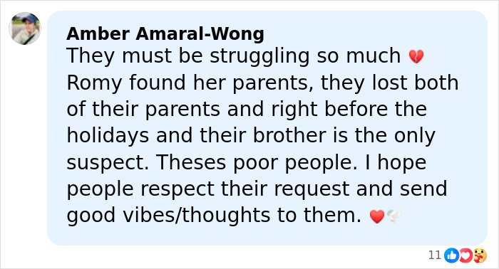 Comment expressing sympathy for Rob Reiner&rsquo;s children Jake and Romy after brother Nick is charged.