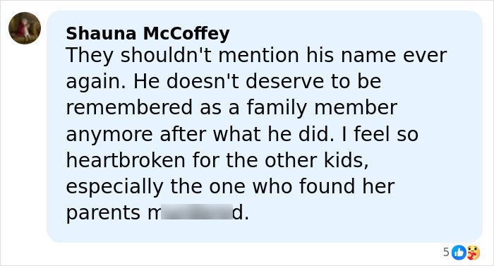 Facebook comment expressing heartbreak over Rob Reiner&rsquo;s children Jake and Romy reacting after brother Nick&rsquo;s charges.