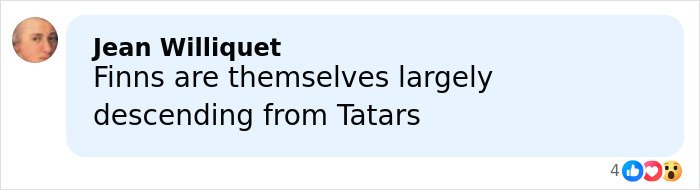 Screenshot of a social media comment discussing Finns and Tatars amid Japan government and Finland controversy over racist gesture.