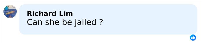 User comment asking if a beauty queen involved in a racist gesture incident in Japan and Finland can be jailed.