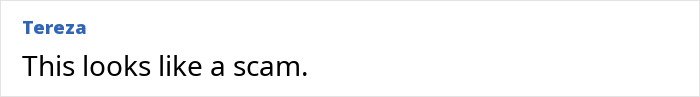 Comment by user Tereza stating this looks like a scam on a website offering intimate encounters with Koreans and K-Drama-style dates.