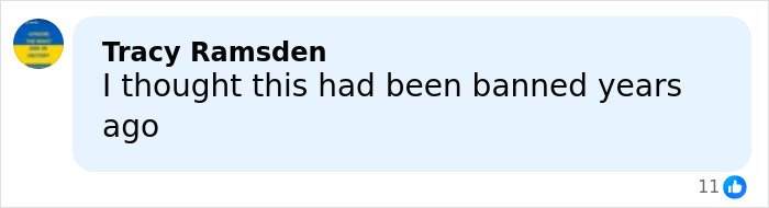 Comment by Tracy Ramsden saying she thought ear cropping had been banned years ago, sparking debate on painful dog practices.