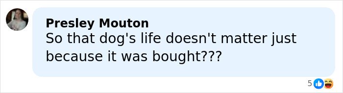 Comment criticizing the painful dog ear cropping after Simone Biles allegedly bought the dog, questioning its life value.