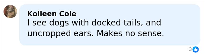 Comment discussing dogs with docked tails and uncropped ears, addressing concerns about ear cropping and animal welfare.