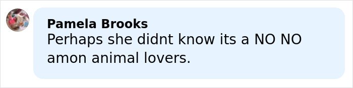 Comment from Pamela Brooks expressing concern about animal cruelty related to dogs with altered ears causing pain.