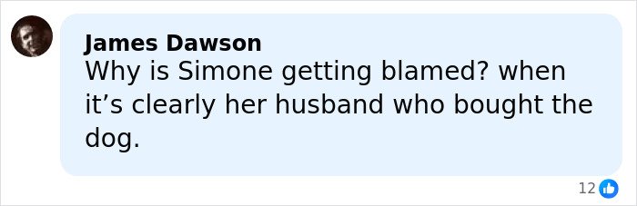 Comment by James Dawson questioning Simone Biles being blamed for buying a dog with chopped-off ears.