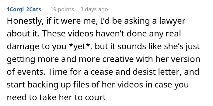 Commenter advises seeking legal help over sister’s TikTok fame built by lying about family.