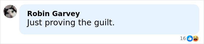 Screenshot of a social media comment reading Just proving the guilt related to chilling toddler's foot beside Epstein.