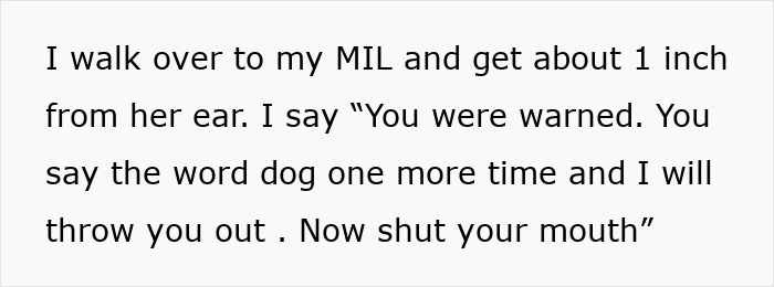 Text on a white background showing a quote warning about saying the word dog near a mother-in-law during Christmas.