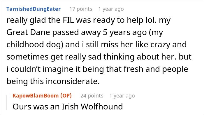 Commenter sharing memory of their childhood Great Dane dog and feelings, related to mil-house-christmas-dog topic.