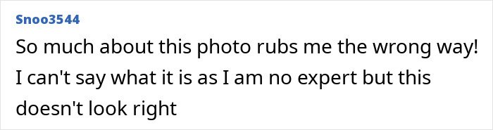 User comment expressing skepticism and discomfort about the authenticity of Prince Harry and Meghan Markle's holiday snap.