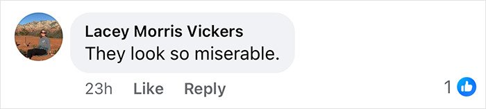 Facebook comment reading they look so miserable, reacting to Melania and Donald Trump's Christmas card online.