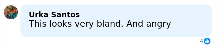 Comment reading This looks very bland and angry, reacting to Melania and Donald Trump's Christmas card backlash online.