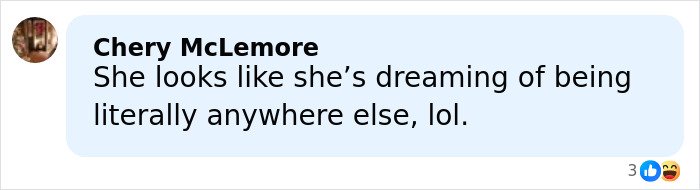 Comment by Chery McLemore expressing that Melania Trump looks miserable and longing to be elsewhere in the Christmas card.