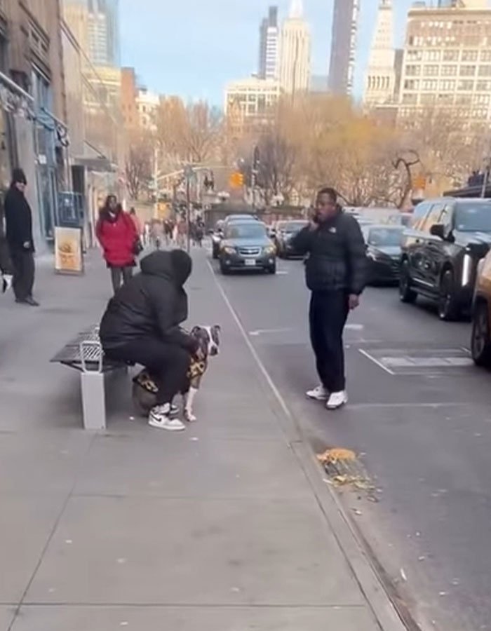 Man in black hooded jacket holding pit bull on busy Manhattan sidewalk with cars and pedestrians nearby.