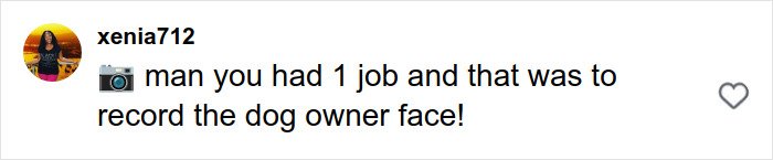 Comment on social media post expressing frustration that the dog owner’s face was not recorded during a pit bull attack incident.