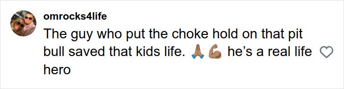 Comment praising a man for saving a toddler's life by putting a chokehold on a pit bull during an attack on a busy Manhattan street.