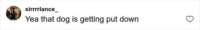 Comment reading sirrrrlance_ saying Yea that dog is getting put down, referencing pit bull attacks toddler on packed Manhattan street.