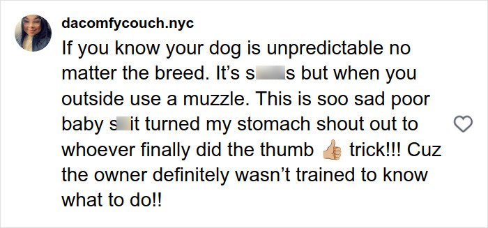 Comment warning about unpredictable dog behavior and urging use of muzzle to prevent pit bull attacks on toddlers.