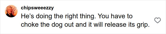 Comment discussing choking a dog to release its grip during a pit bull attack on a toddler in Manhattan street.