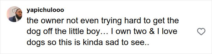 User comment about a pit bull attack on a toddler, expressing concern over the owner’s lack of effort to release the dog’s grip.