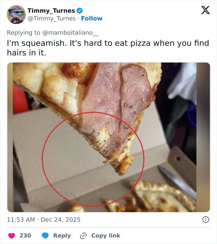 Slice of ham pizza with a hair circled in red, illustrating a viral pizza maker incident trending online.