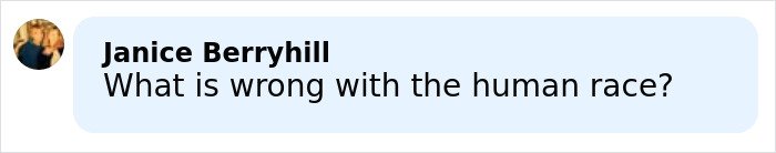 Comment by Janice Berryhill asking what is wrong with the human race, related to mom's chilling Google searches.