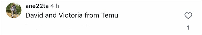 Comment mentioning David and Victoria from Temu on social media, related to fans discussing Brooklyn’s wife Nicola Peltz.
