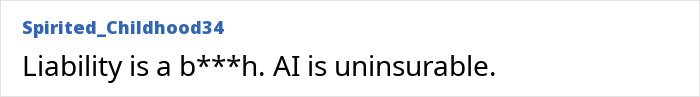 Comment text on a plain white background stating liability issues and AI being uninsurable, related to ChatGPT expert concerns.