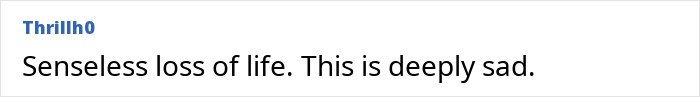 Comment by Thrillh0 expressing grief over senseless loss of life, reflecting concerns about ChatGPT's impact.