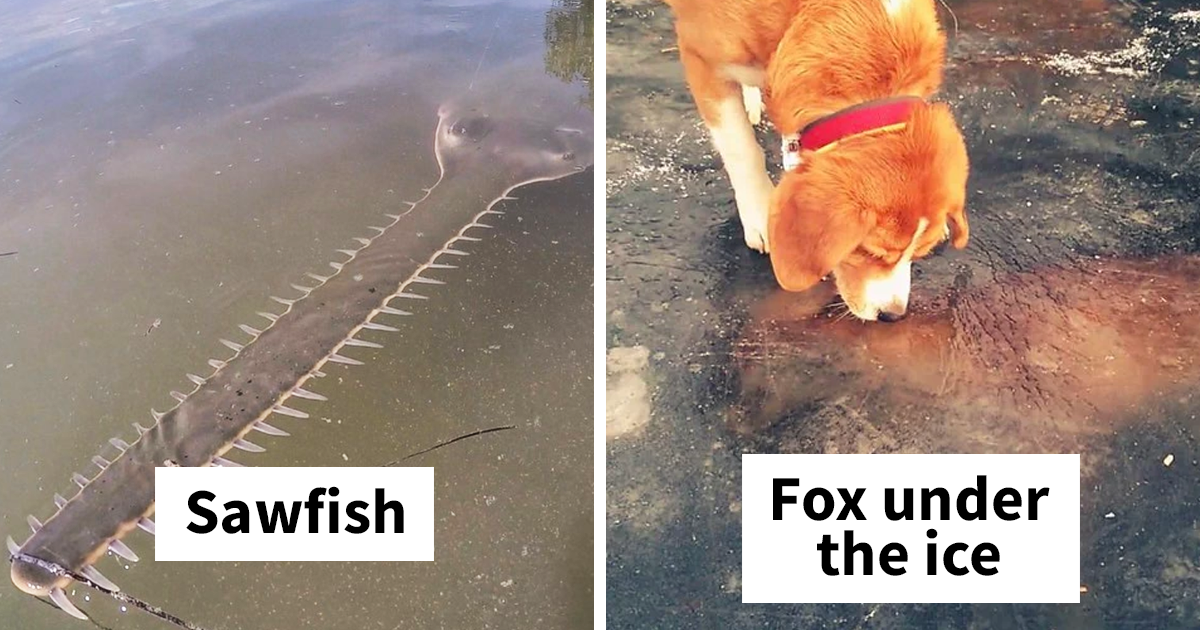30 Times Nature Made Us Say “NOPE”