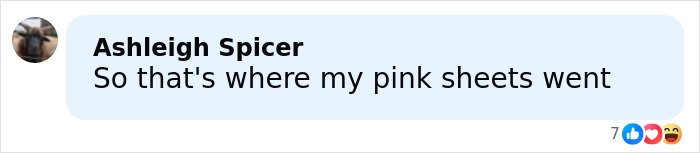 Comment by Ashleigh Spicer reacting to Rihanna's red carpet look with a humorous remark about a diaper bag.