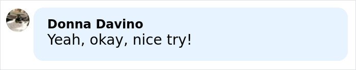 Comment by Donna Davino saying yeah okay nice try in a light blue speech bubble on a white background