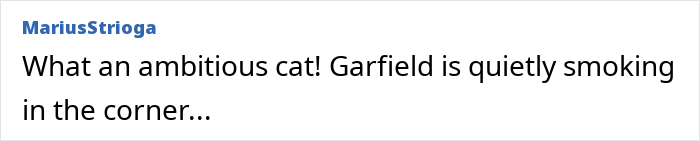 Comment stating an ambitious cat named Garfield is quietly smoking in the corner.