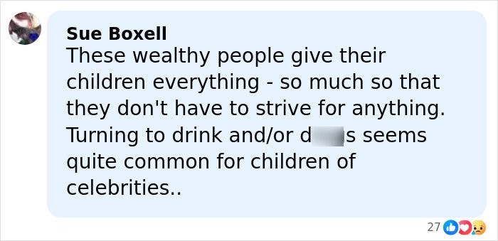 Comment by Sue Boxell discussing wealthy celebrity children turning to drink and d***s in a social media post.
