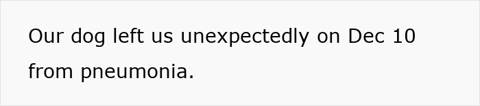Text on a white background stating that a dog left unexpectedly on December 10 from pneumonia, related to mil house Christmas dog.